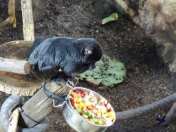 Haus des Meeres 4.02.2026